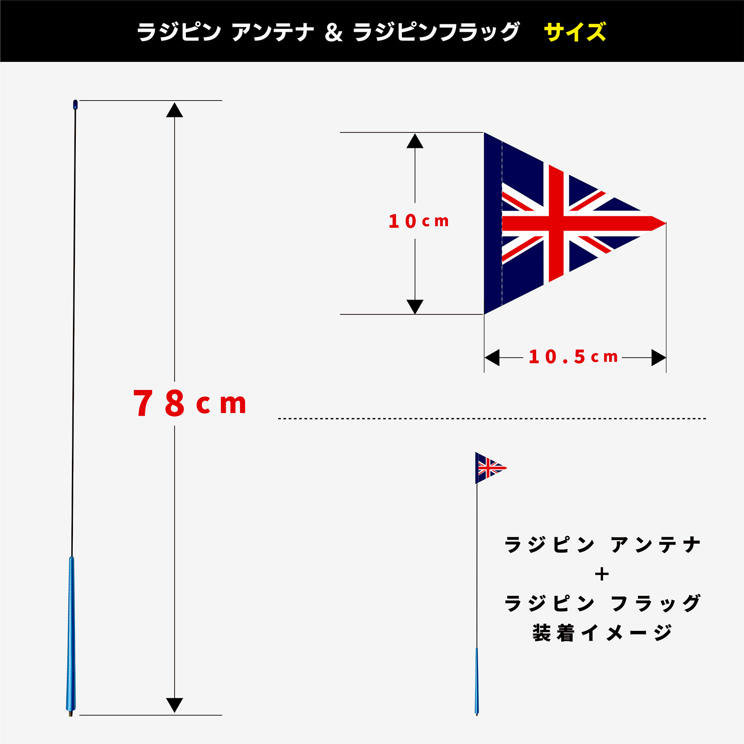 サイズ